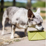 Manufacturer Wholesale Portable Silicone Collapsible Dog Travel Bowl