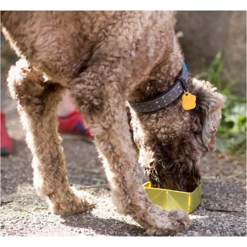 Manufacturer Wholesale Portable Silicone Collapsible Dog Travel Bowl