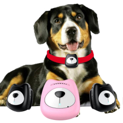Manufacturer wholesale wifi position real-time tracking fast charging pet dog gps collar