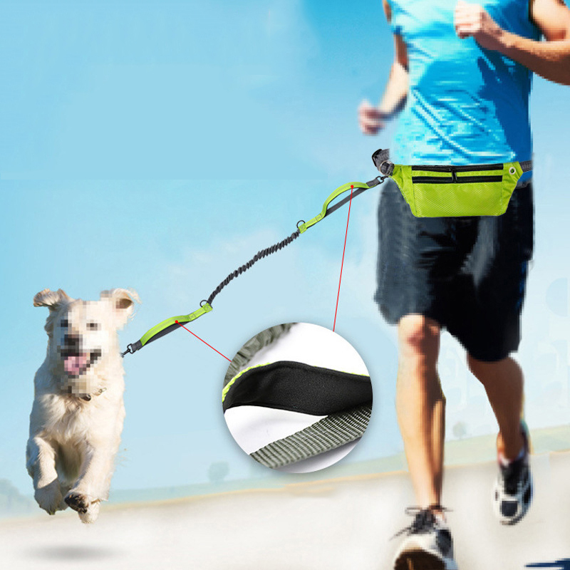 Manufacturer wholesale reflective adjustable dog leash with pocket set for running