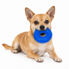 Wholesale Custom Logo TPR Squeaky Pet Product Dog Chew Toy