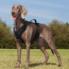 Wholesale Reflective Stripe Dog Harness Large