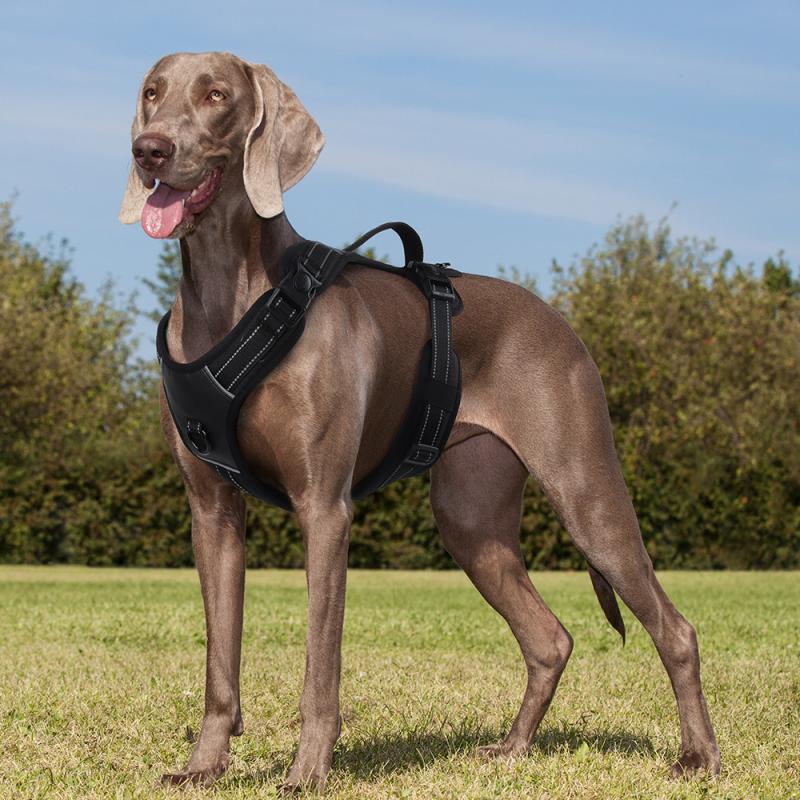 Wholesale Reflective Stripe Dog Harness Large