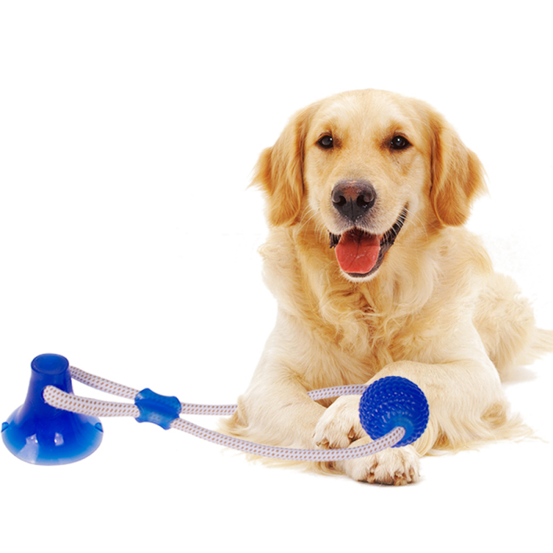 Manufacturer wholesale tpr rope clean teeth dog toys set