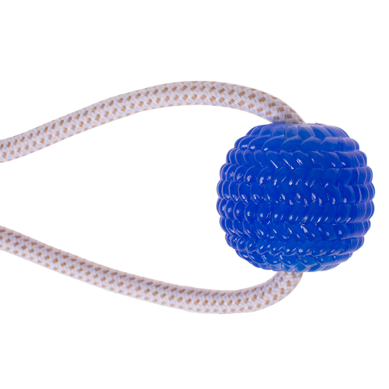 Manufacturer wholesale tpr rope clean teeth dog toys set