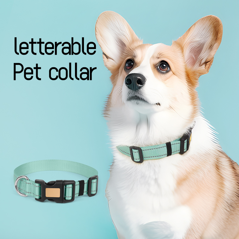 Wholesale Nylon Custom Logo Pet ID Luxury Dog Neck Collar