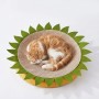 Wholesale Round Oval Shape Sisal Cat Bed Scratcher