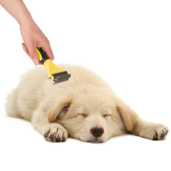 Wholesale Environmental Durable Multifunction Pet Hair Remover Comb Dog Brush