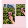 Manufacturer wholesale blue pink string teaser cat launcher toy