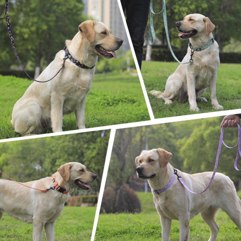Manufacturer Wholesale Custom logo Cheap Nylon Adjustable Pet Dog Collars Leashes
