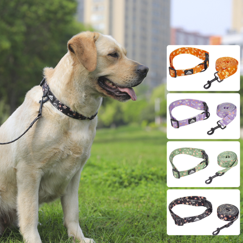 Manufacturer Wholesale Custom logo Cheap Nylon Adjustable Pet Dog Collars Leashes