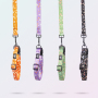Manufacturer Wholesale Custom logo Cheap Nylon Adjustable Pet Dog Collars Leashes
