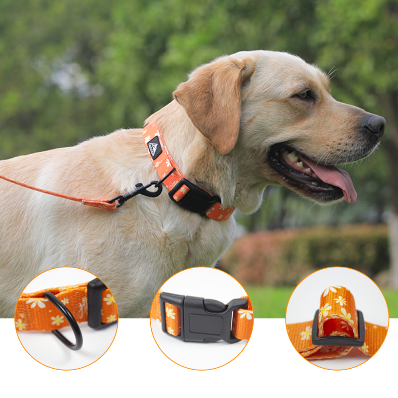 Manufacturer Wholesale Custom logo Cheap Nylon Adjustable Pet Dog Collars Leashes