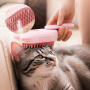 Wholesale Rotatable USB Charging Dog Cat Pet Steam Brush