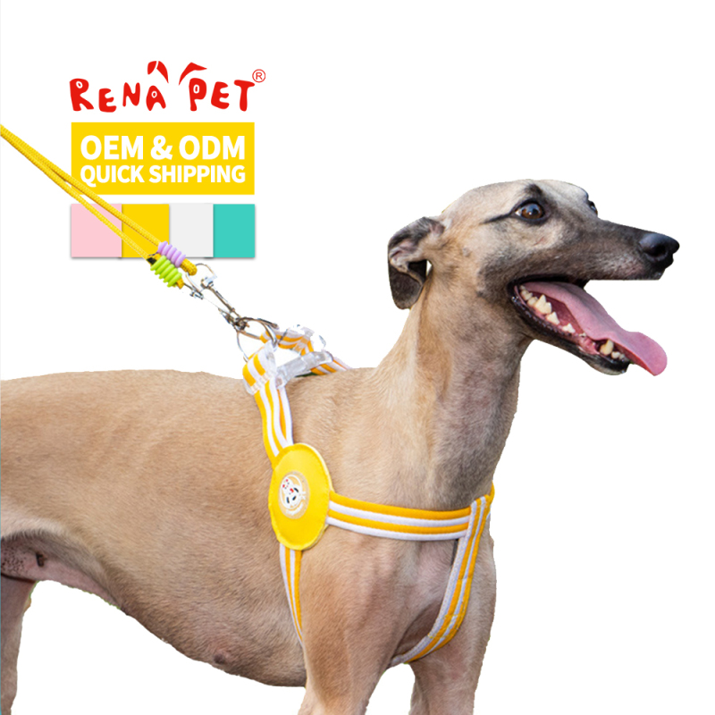 Wholesale Multifunctional Dog Harness and Leash Set