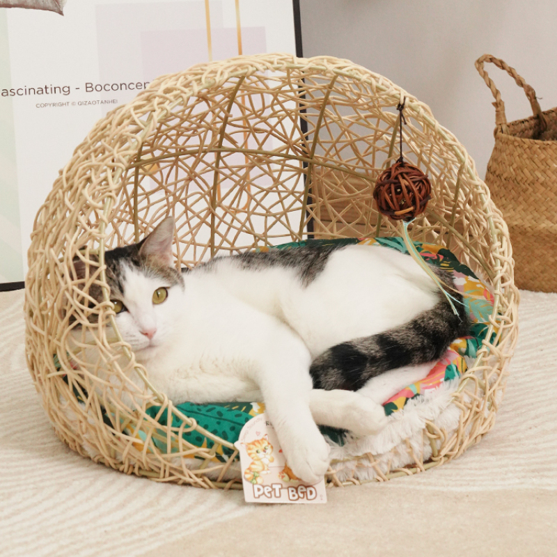 Manufacturer wholesale summer new design rattan cat dog bed