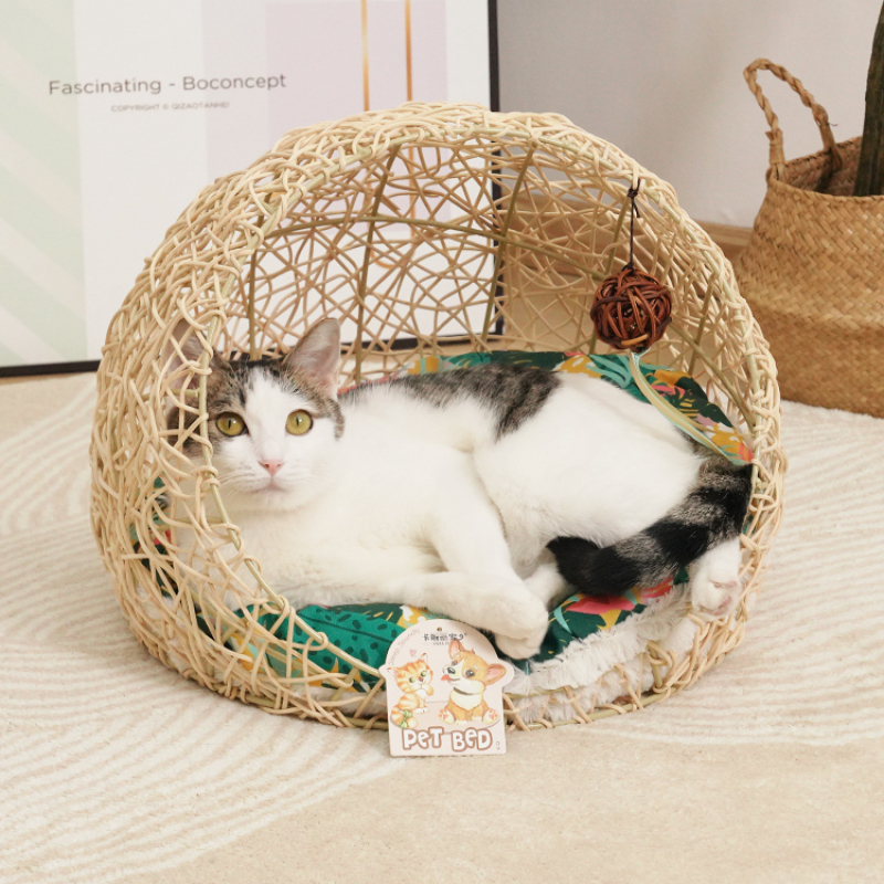 Manufacturer wholesale summer new design rattan cat dog bed