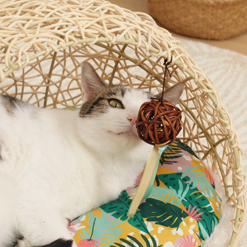 Manufacturer wholesale summer new design rattan cat dog bed
