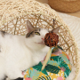 Manufacturer wholesale summer new design rattan cat dog bed
