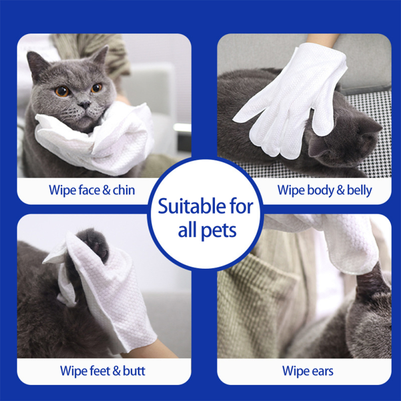 Manufacturer Wholesale SPA Grooming Cat Dog Pet Gloves Wipes