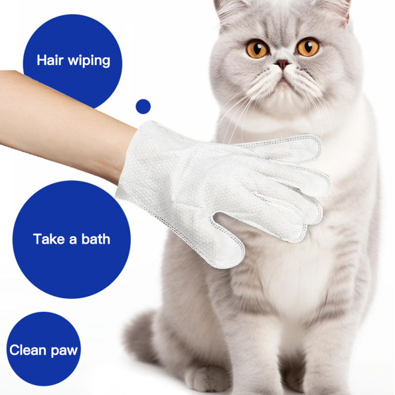 Manufacturer Wholesale SPA Grooming Cat Dog Pet Gloves Wipes
