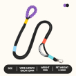 Black leash