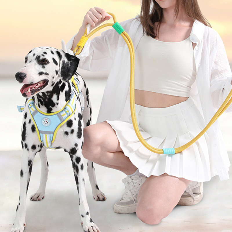 Wholesale Adjustable Multifunctional Dog Leash Collar