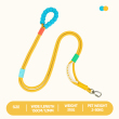 Yellow leash