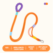 Orange leash