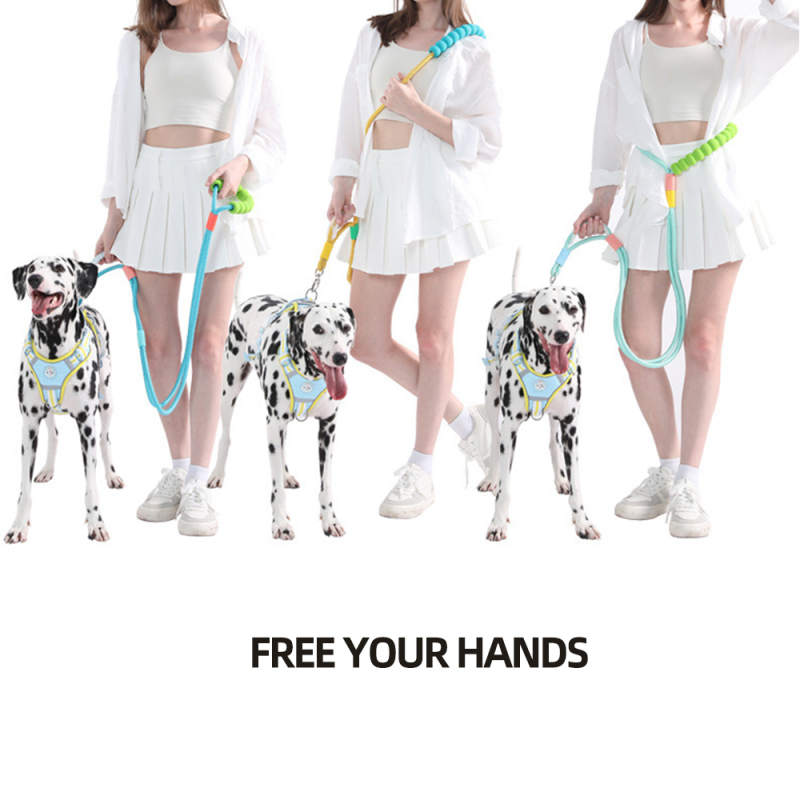Wholesale Adjustable Multifunctional Dog Leash Collar