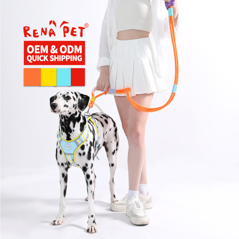 Wholesale Adjustable Multifunctional Dog Leash Collar