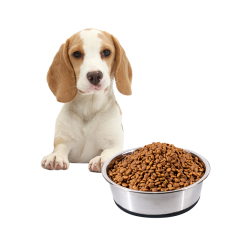 Manufacturer wholesale stainless steel dog bowl with silicone non-slip bottom