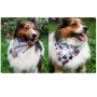 Manufacturer wholesale cotton design pet accessory dog bandanas
