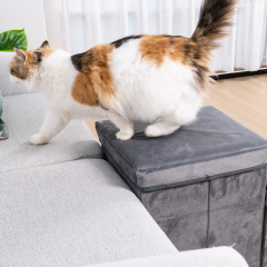 Manufacturer Wholesale Three Step Foldable Storage Cat Dog Stairs