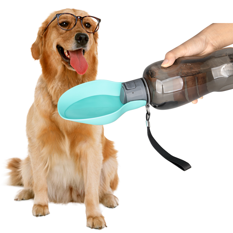 Wholesale Foldable Pink Blue Green Dog Water Bottle Portable