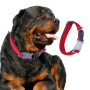 Wholesale Custom Logo Nylon Dog Collar Adjustable