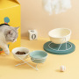 Wholesale Green White Elevated Ceramic Cat Bowl With Stand
