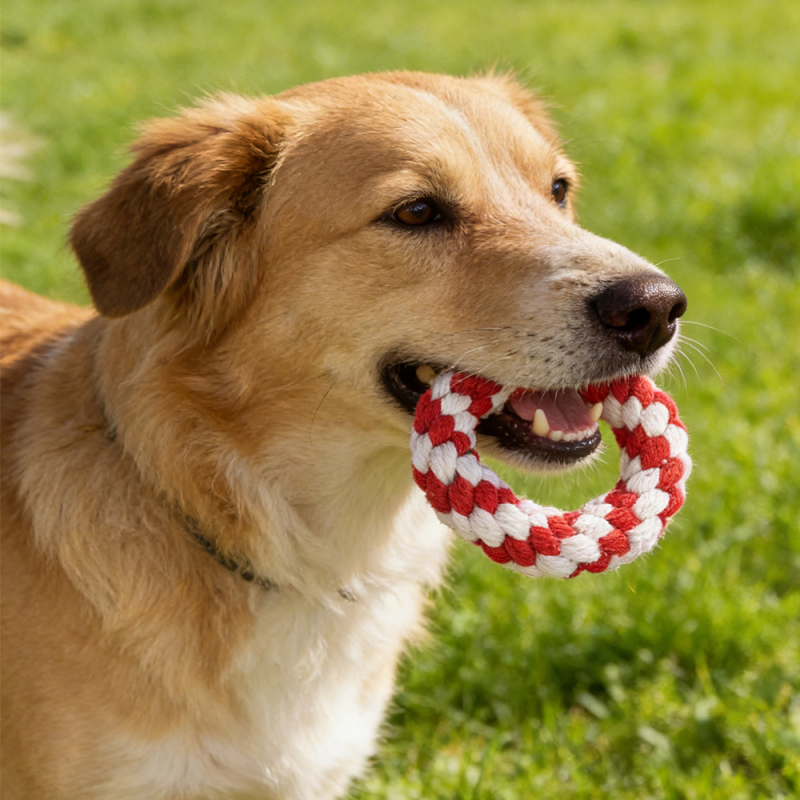 Wholesale Christmas Round Dog Rope Toy Chew