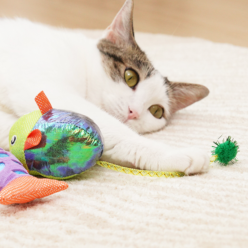 Manufacturer wholesale new mouse fish design cat products