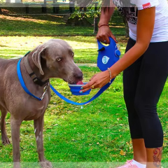 Manufacturer wholesale store water retractable dog leash with collapsible bowl