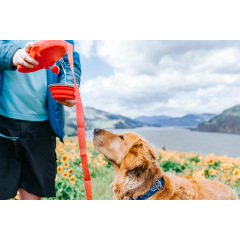 Manufacturer wholesale store water retractable dog leash with collapsible bowl