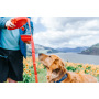 Manufacturer wholesale store water retractable dog leash with collapsible bowl