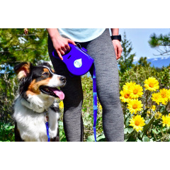 Manufacturer wholesale store water retractable dog leash with collapsible bowl