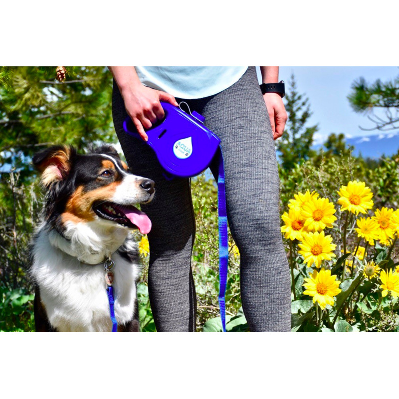 Manufacturer wholesale store water retractable dog leash with collapsible bowl