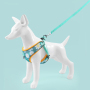 Manufacturer wholesale reflective multi-colors dog harness with flower design