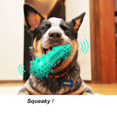 Manufacturer wholesale tpr squeaky floating dog chew toy clean teeth