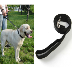 Manufacturer wholesale pink blue black nylon outdoor leash for dog