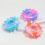 Wholesale Clean Teeth TPR Round Pet Products Dog Chew Toy