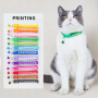 Manufacturer wholesale multi-colors design adjustable bell bow dog cat collar