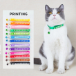 paw print design